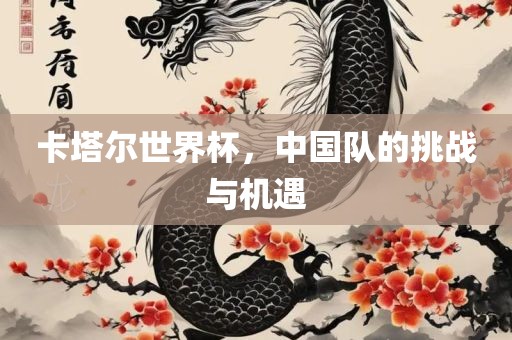 卡塔尔世界杯，中国队的挑战与机遇江门市永晋源无纺布有限公司