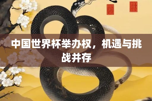 中国世界杯举办权，机遇与挑战并存