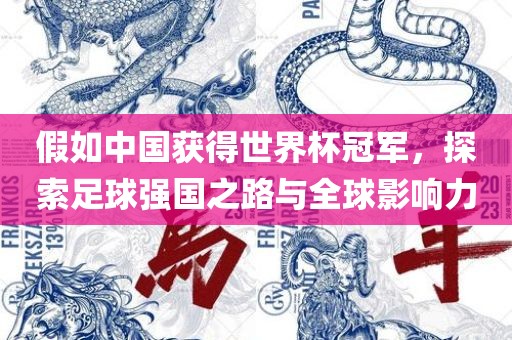 假如中国获得世界杯冠军，探索足球强国之路与全球影响力江门市永晋源无纺布有限公司