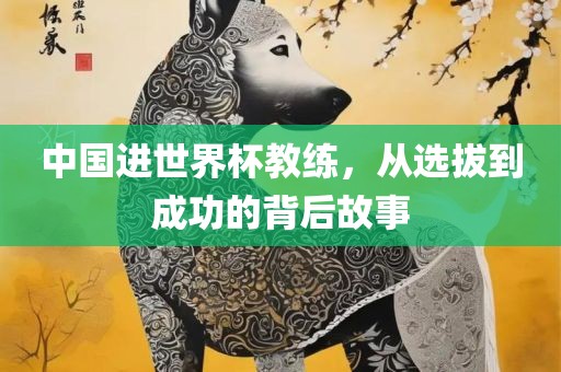 中国进世界杯教练，从选拔到成功的背后故事江门市永晋源无纺布有限公司