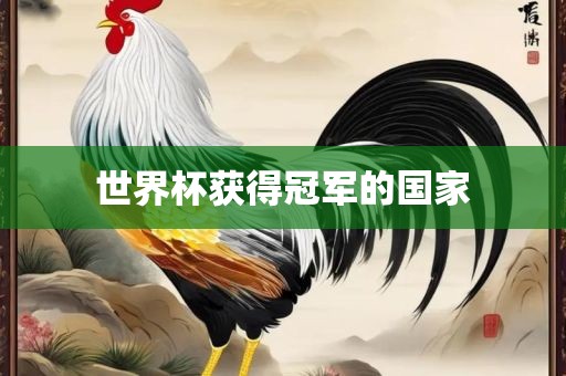 世界杯获得冠军的国家江门市永晋源无纺布有限公司