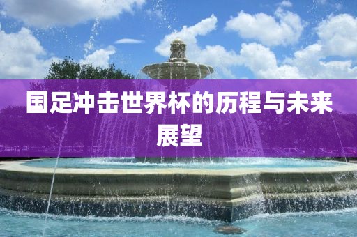 国足冲击世界杯的历程与未来展望