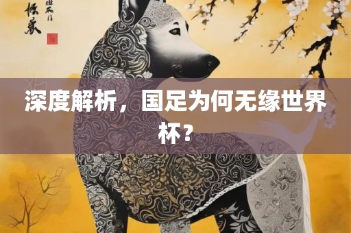 深度解析，国足为何无缘世界杯？