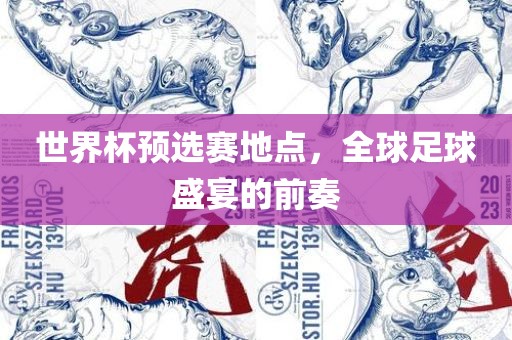 世界杯预选赛地点，全球足球盛宴的前奏