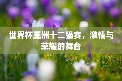 世界杯亚洲十二强赛，激情与荣耀的舞台