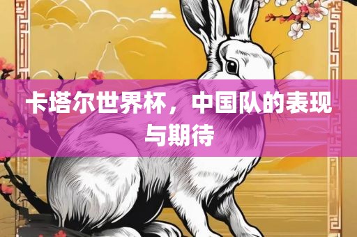 卡塔尔世界杯，中国队的表现与期待