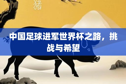 中国足球进军世界杯之路，挑战与希望江门市永晋源无纺布有限公司