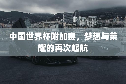 中国世界杯附加赛，梦想与荣耀的再次起航