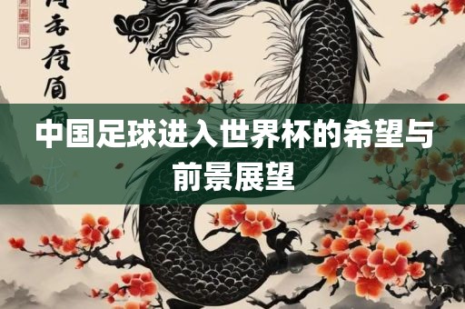 中国足球进入世界杯的希望与前景展望