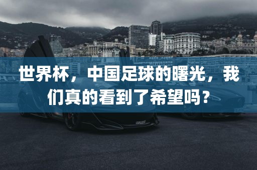 世界杯，中国足球的曙光，我们真的看到了希望吗？江门市永晋源无纺布有限公司