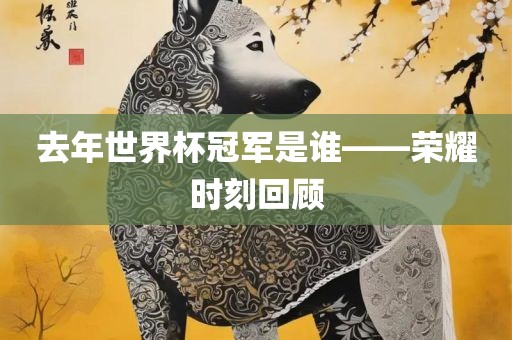 去年世界杯冠军是谁——荣耀时刻回顾