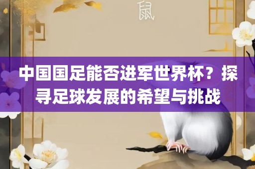 中国国足能否进军世界杯？探寻足球发展的希望与挑战江门市永晋源无纺布有限公司