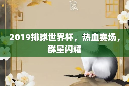 2019排球世界杯，热血赛场，群星闪耀