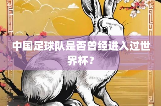 中国足球队是否曾经进入过世界杯？