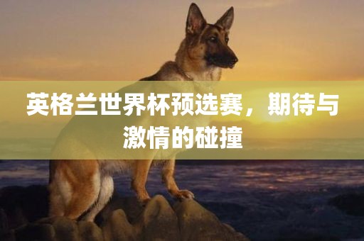 英格兰世界杯预选赛，期待与激情的碰撞江门市永晋源无纺布有限公司