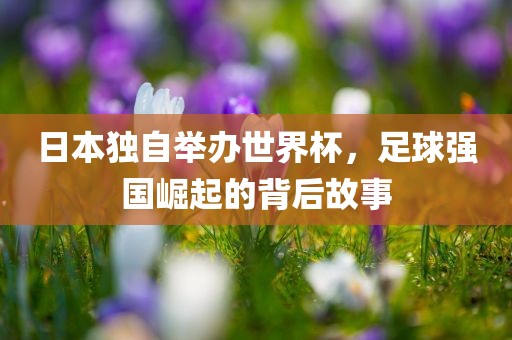 日本独自举办世界杯，足球强国崛起的背后故事