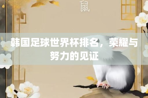韩国足球世界杯排名，荣耀与努力的见证江门市永晋源无纺布有限公司