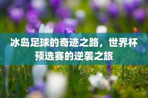 冰岛足球的奇迹之路，世界杯预选赛的逆袭之旅