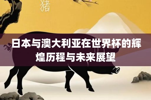 日本与澳大利亚在世界杯的辉煌历程与未来展望