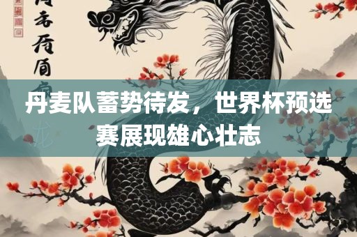 丹麦队蓄势待发，世界杯预选赛展现雄心壮志
