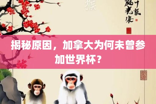 揭秘原因，加拿大为何未曾参加世界杯？江门市永晋源无纺布有限公司