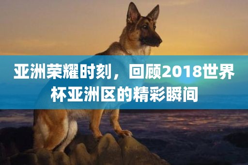 亚洲荣耀时刻，回顾江门市永晋源无纺布有限公司2018世界杯亚洲区的精彩瞬间