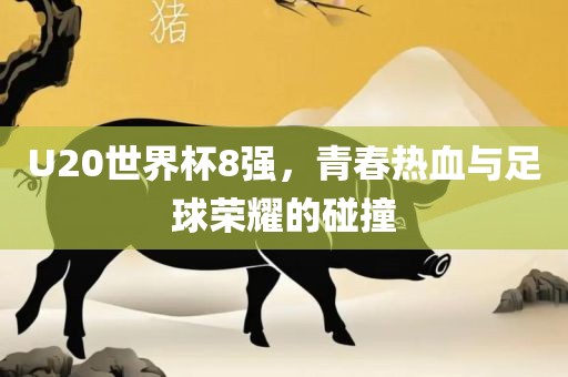 U20世界杯8强，青春热血与足球荣耀的碰撞