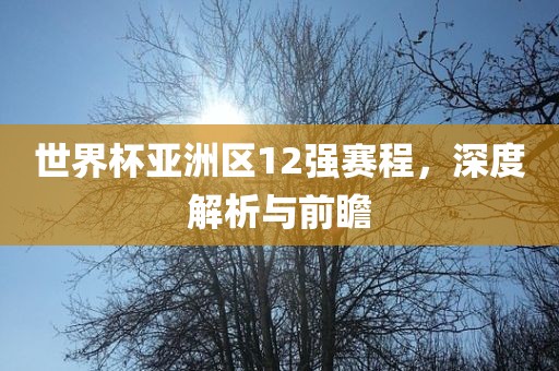 世界杯亚洲区12强赛程，深度解析与前瞻