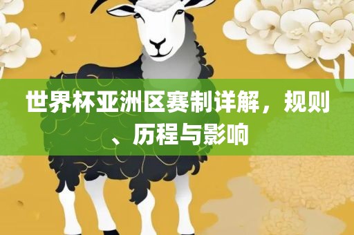 世界杯亚洲区赛制详解，规则、历程与影响