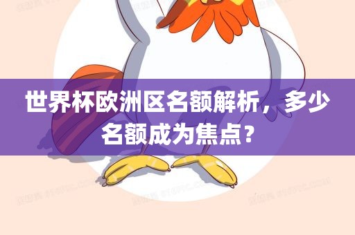 世界杯欧洲区名额解析，多少名额成为焦点？