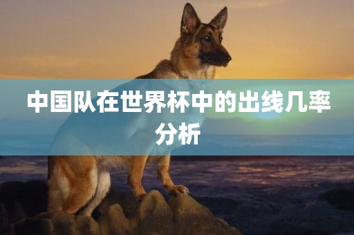 中国队在世界杯中的出线几率分析