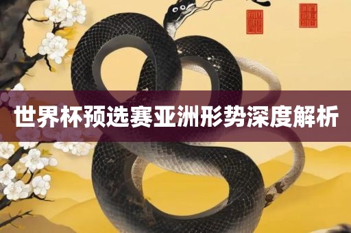 世界杯预选赛亚洲形势深度解析