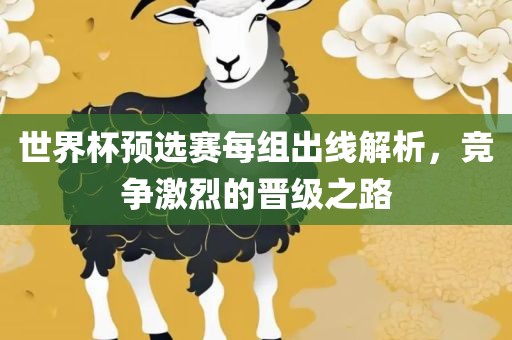 世界杯预选赛每组出线解析，竞争激烈的晋级之路江门市永晋源无纺布有限公司