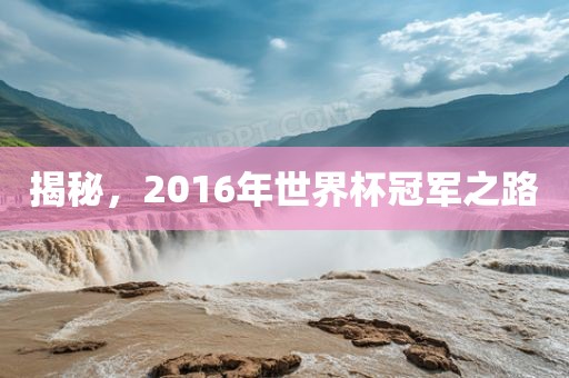揭秘，2016年世界杯冠军之路