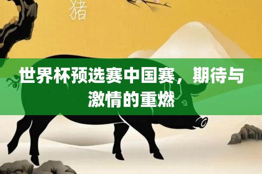 世界杯预选赛中国赛，期待与激情的重燃