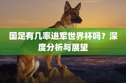 国足有几率进军世界杯吗？深度分析与展望