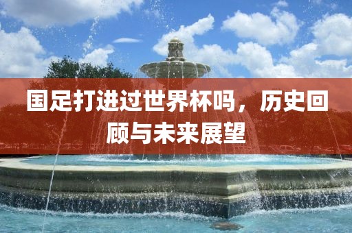 国足打进过世界杯吗，历史回顾与未来展望