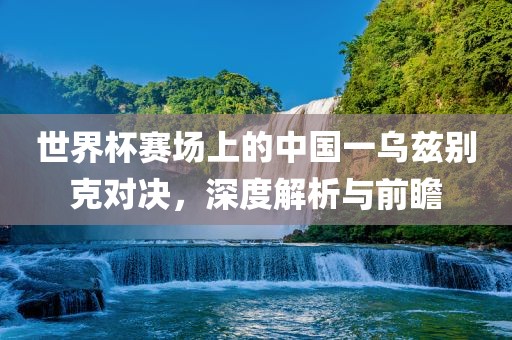 世界杯赛场上的中国一乌兹别克对决，深度解析与前瞻
