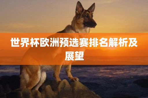 世界杯欧洲预选赛排名解析及展望