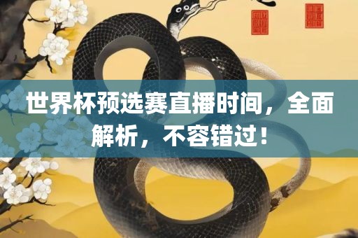 世界杯预选赛直播时间，全面解析，不容错过！
