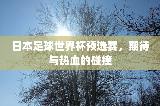 日本足球世界杯预选赛，期待与热血的碰撞