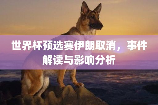 世界杯预选赛伊朗取消，事件解读与影响分析