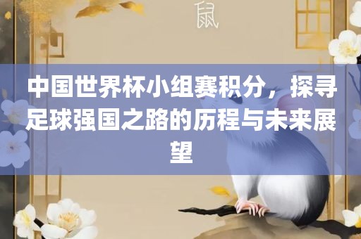 中国世界杯小组赛积分，探寻足球强国之路的历程与未来展望
