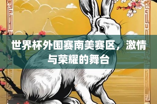 世界杯外围赛南美赛区，激情与荣耀的舞台