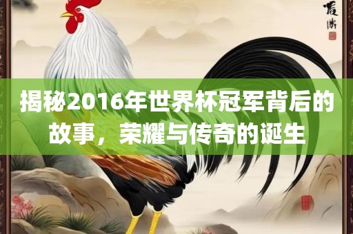 揭秘2016年世界杯冠军背后的故事，荣耀与传奇的诞生