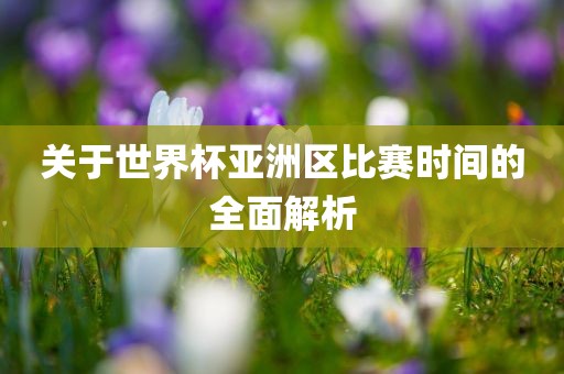 关于世界杯亚洲区比赛时间的全面解析