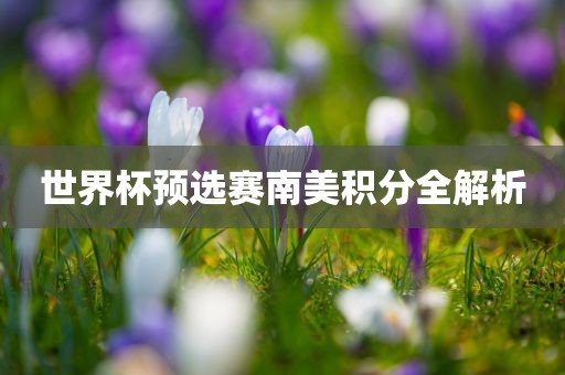 世界杯预选赛南美积分全解析