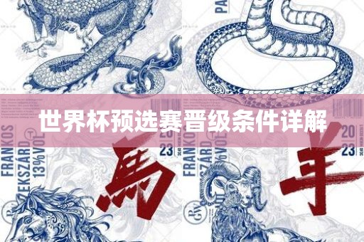 世界杯预选赛晋级条件详解