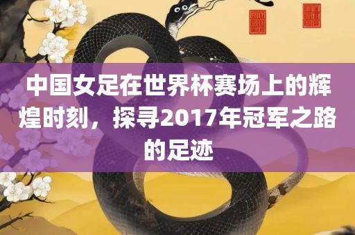 中国女足在世界杯赛场上的辉煌时刻，探寻2017年冠军之路的足迹