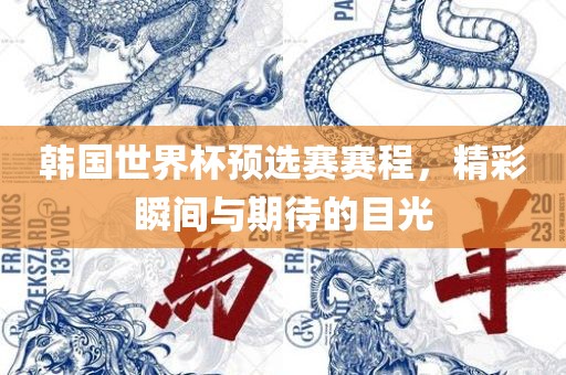 韩国世界杯预选赛赛程，精彩瞬间与期待的目光